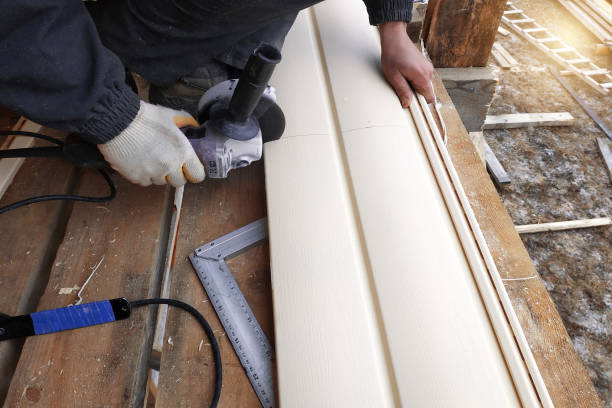 Best Siding Painting and Refinishing  in Moenkopi, AZ