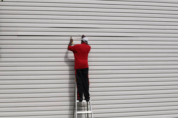 Best Custom Siding Design  in Moenkopi, AZ
