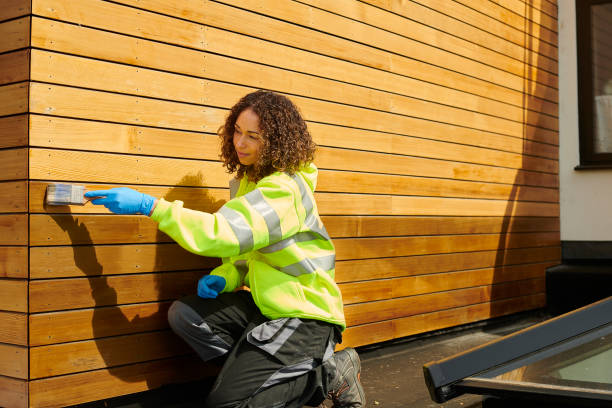 Best Siding Replacement  in Moenkopi, AZ